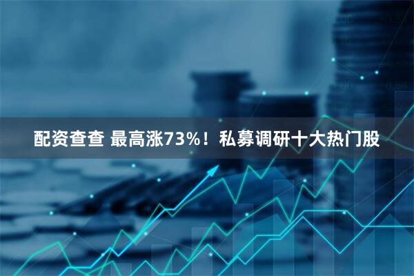 配资查查 最高涨73%！私募调研十大热门股