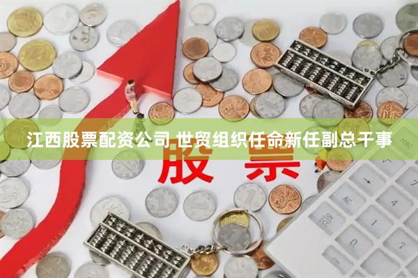 江西股票配资公司 世贸组织任命新任副总干事