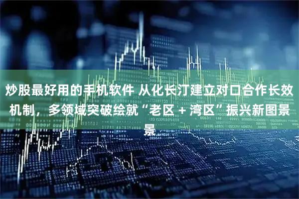 炒股最好用的手机软件 从化长汀建立对口合作长效机制，多领域突破绘就“老区 + 湾区”振兴新图景