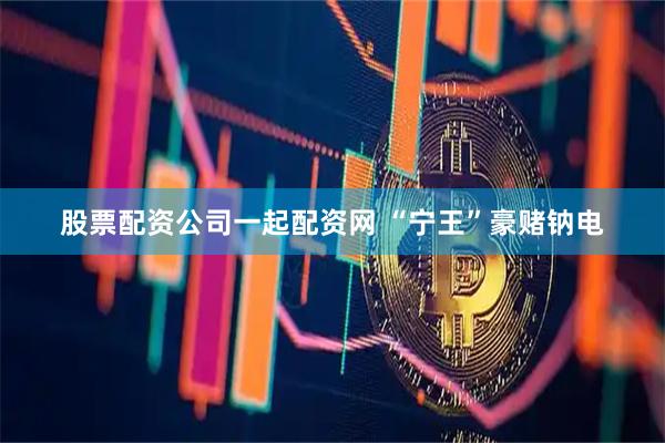 股票配资公司一起配资网 “宁王”豪赌钠电